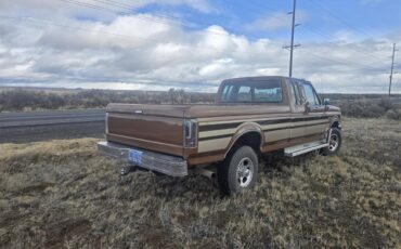 Ford-F250-1989-Brown-Tan-14