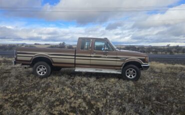 Ford-F250-1989-Brown-Tan-2