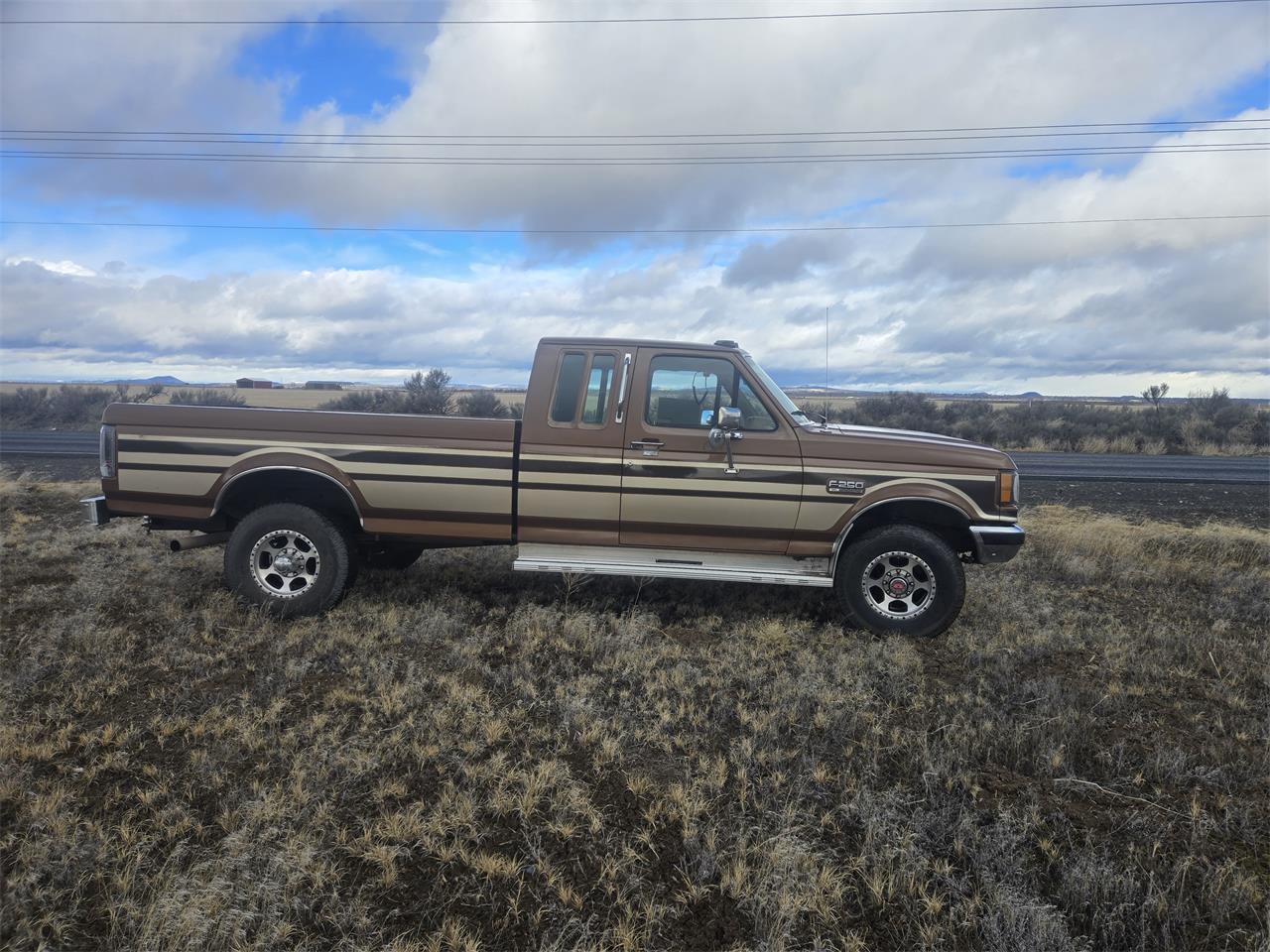 Ford-F250-1989-Brown-Tan-2