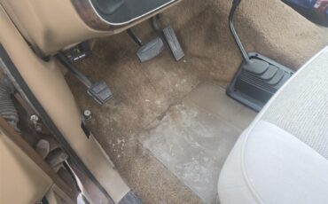 Ford-F250-1989-Brown-Tan-3