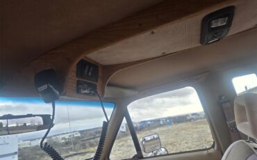 Ford-F250-1989-Brown-Tan-8