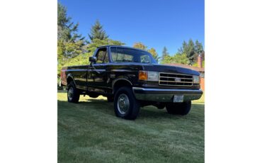 Ford-F250-1989-Dark-Brown-Tan-1