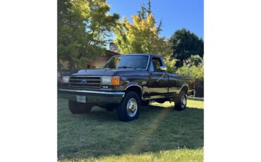 Ford-F250-1989-Dark-Brown-Tan