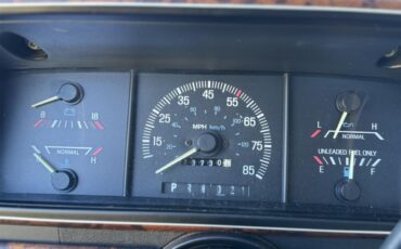 Ford-F250-1989-Dark-Brown-Tan-5