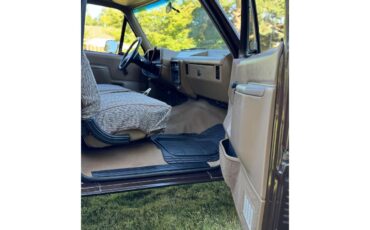 Ford-F250-1989-Dark-Brown-Tan-6