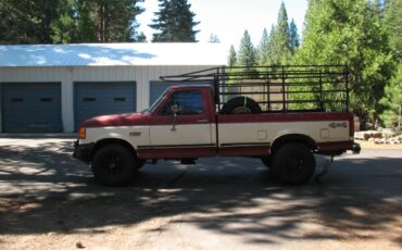 Ford-F250-4x4-1991-3