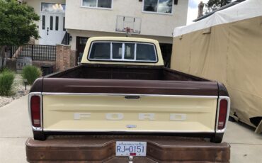 Ford-F350-1979-Brown-Tan-3