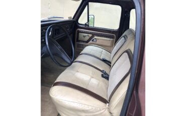 Ford-F350-1979-Brown-Tan-5