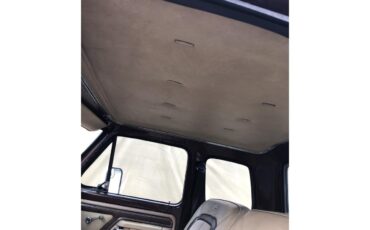 Ford-F350-1979-Brown-Tan-7