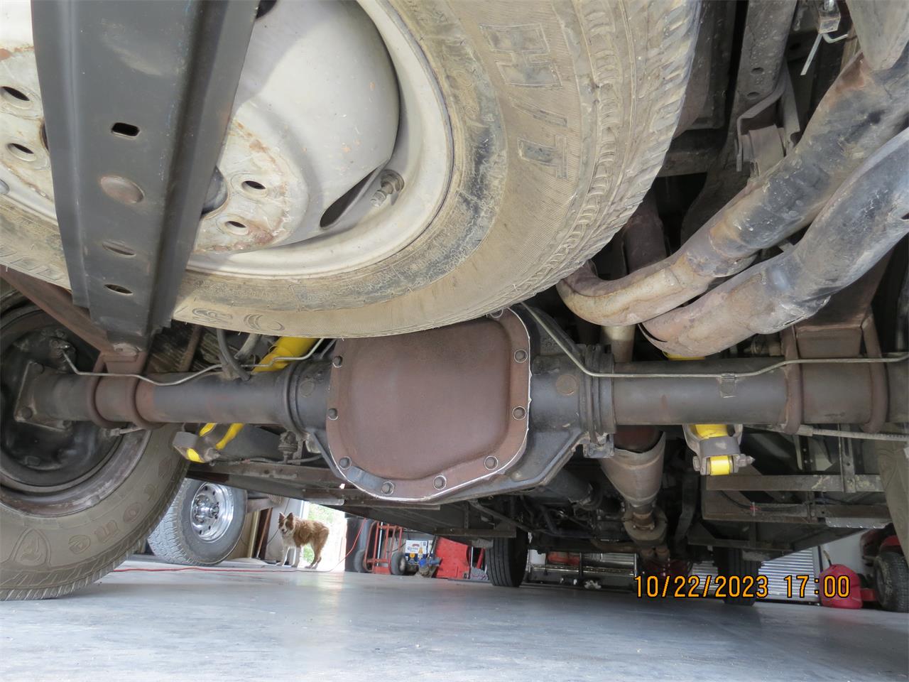 Ford-F350-1989-Wimbledon-white-Blue-6