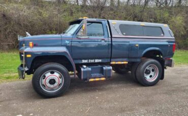 Ford-F600-1989-4