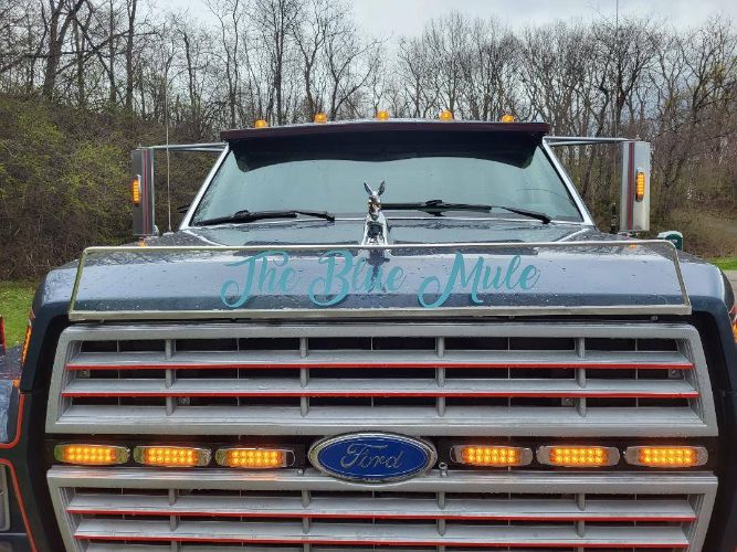 Ford-F600-1989-5