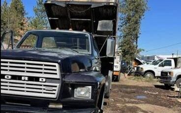 Ford-F650-1982-Black