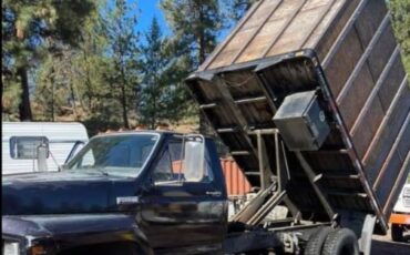 Ford-F650-1982-Black-6