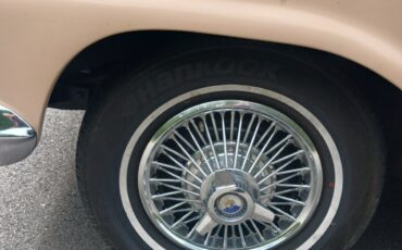Ford-Fairlane-1959-Sedan-5