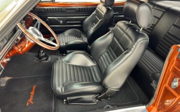 Ford-Fairlane-1966-Nutmeg-Black-36