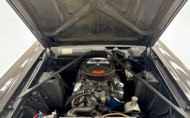 Ford-Fairlane-500-1966-Raven-Black-Red-39