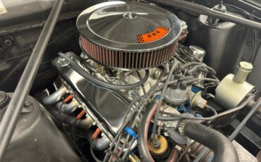 Ford-Fairlane-500-1966-Raven-Black-Red-40