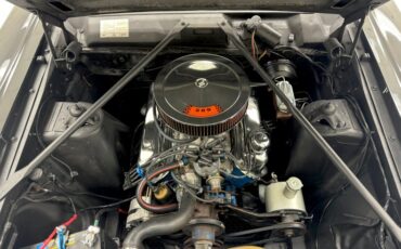 Ford-Fairlane-500-1966-Raven-Black-Red-42