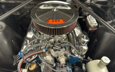 Ford-Fairlane-500-1966-Raven-Black-Red-43