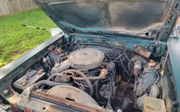 Ford-Fairmont-1978-Green-19