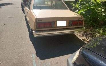 Ford-Fairmont-1978-Yellow-2