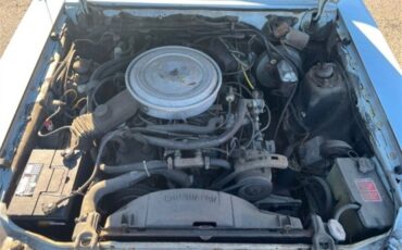 Ford-Fairmont-1982-SEDAN-4-DR-28