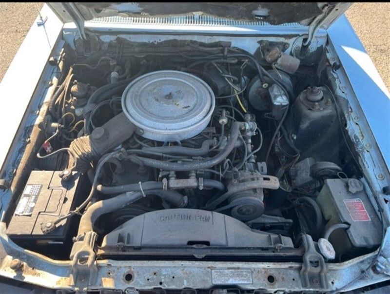 Ford-Fairmont-1982-SEDAN-4-DR-28