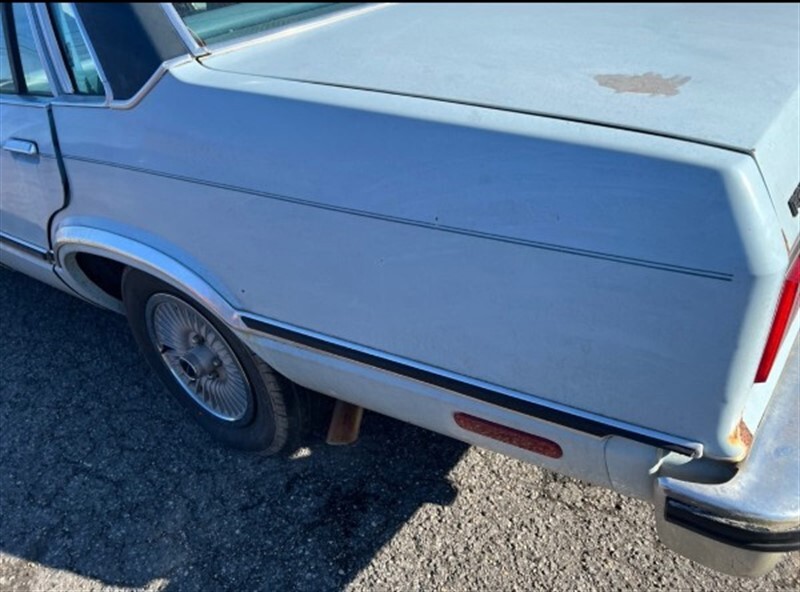 Ford-Fairmont-1982-SEDAN-4-DR-9