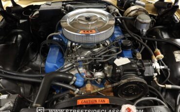 Ford-Galaxie-1966-Med-Palomino-Met.-Tan-5