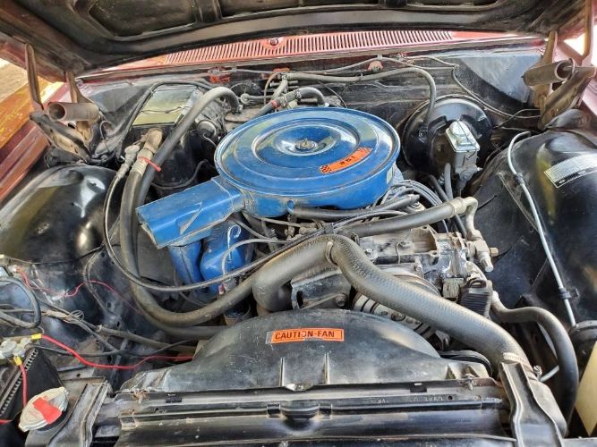 Ford-Galaxie-500-1969-Red-7
