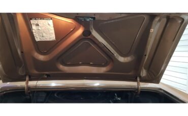 Ford-Ltd-1972-Brown-Brown-25