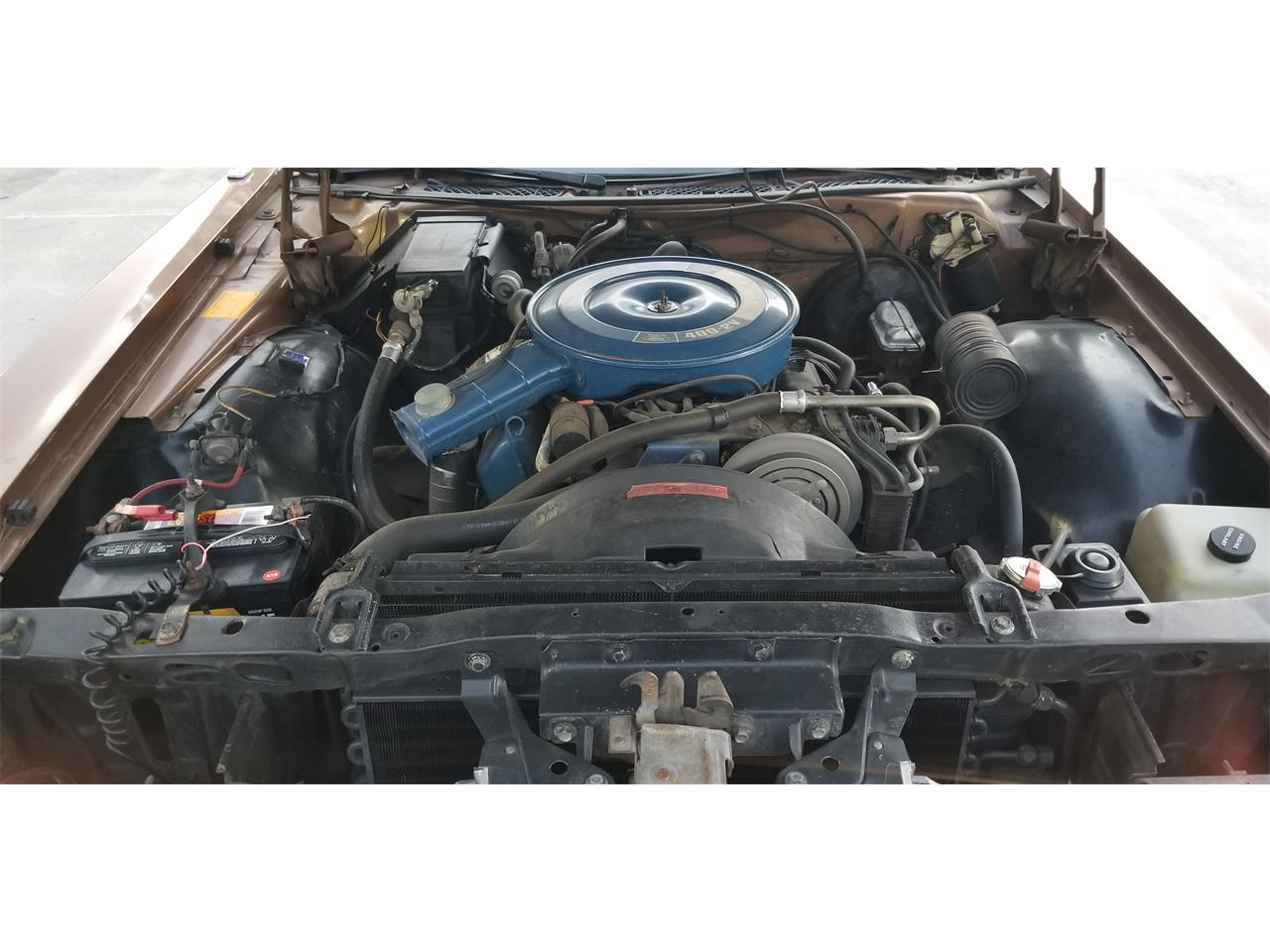 Ford-Ltd-1972-Brown-Brown-7