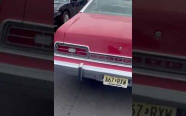 Ford-Ltd-1974-Red-Beige-1
