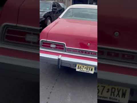 Ford-Ltd-1974-Red-Beige-1