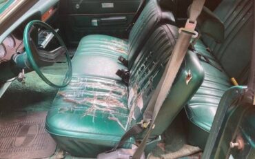 Ford-Ltd-1977-Dark-Green-10