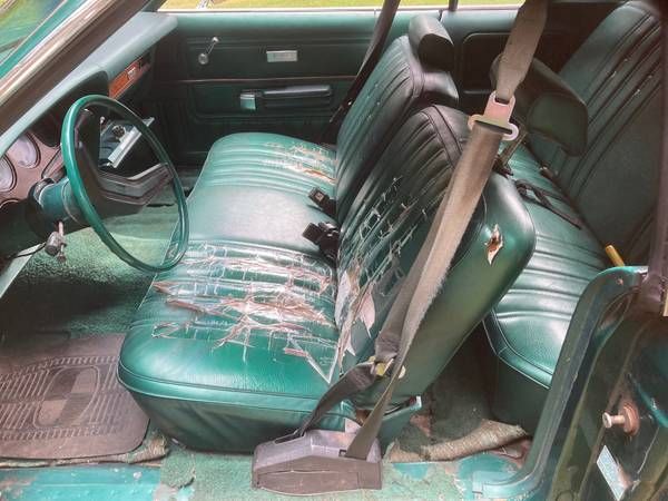 Ford-Ltd-1977-Dark-Green-10