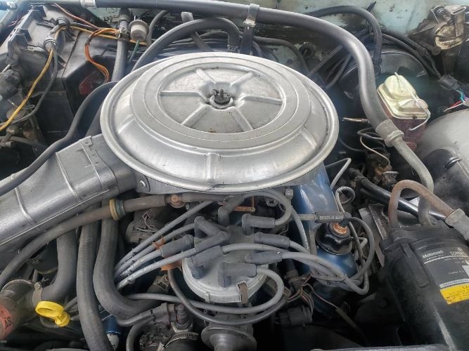 Ford-Ltd-1978-Blue-6