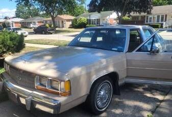 Ford-Ltd-1989-Tan-Gray-10