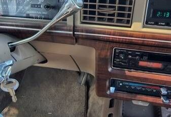 Ford-Ltd-1989-Tan-Gray-3