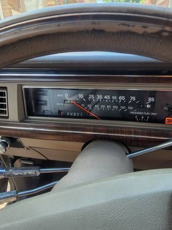 Ford-Ltd-1989-Tan-Gray-4