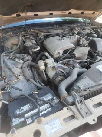 Ford-Ltd-1989-Tan-Gray-5