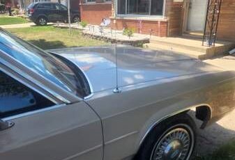 Ford-Ltd-1989-Tan-Gray-7