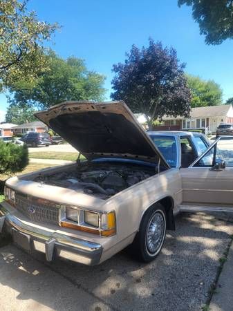 Ford-Ltd-1989-Tan-Gray