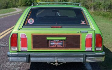 Ford-Ltd-crown-victoria-1987-Green-exterior-with-Blue-Vinyl-28