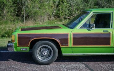 Ford-Ltd-crown-victoria-1987-Green-exterior-with-Blue-Vinyl-35