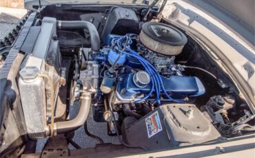Ford-Maverick-1973-Ascot-Gray-Gray-53