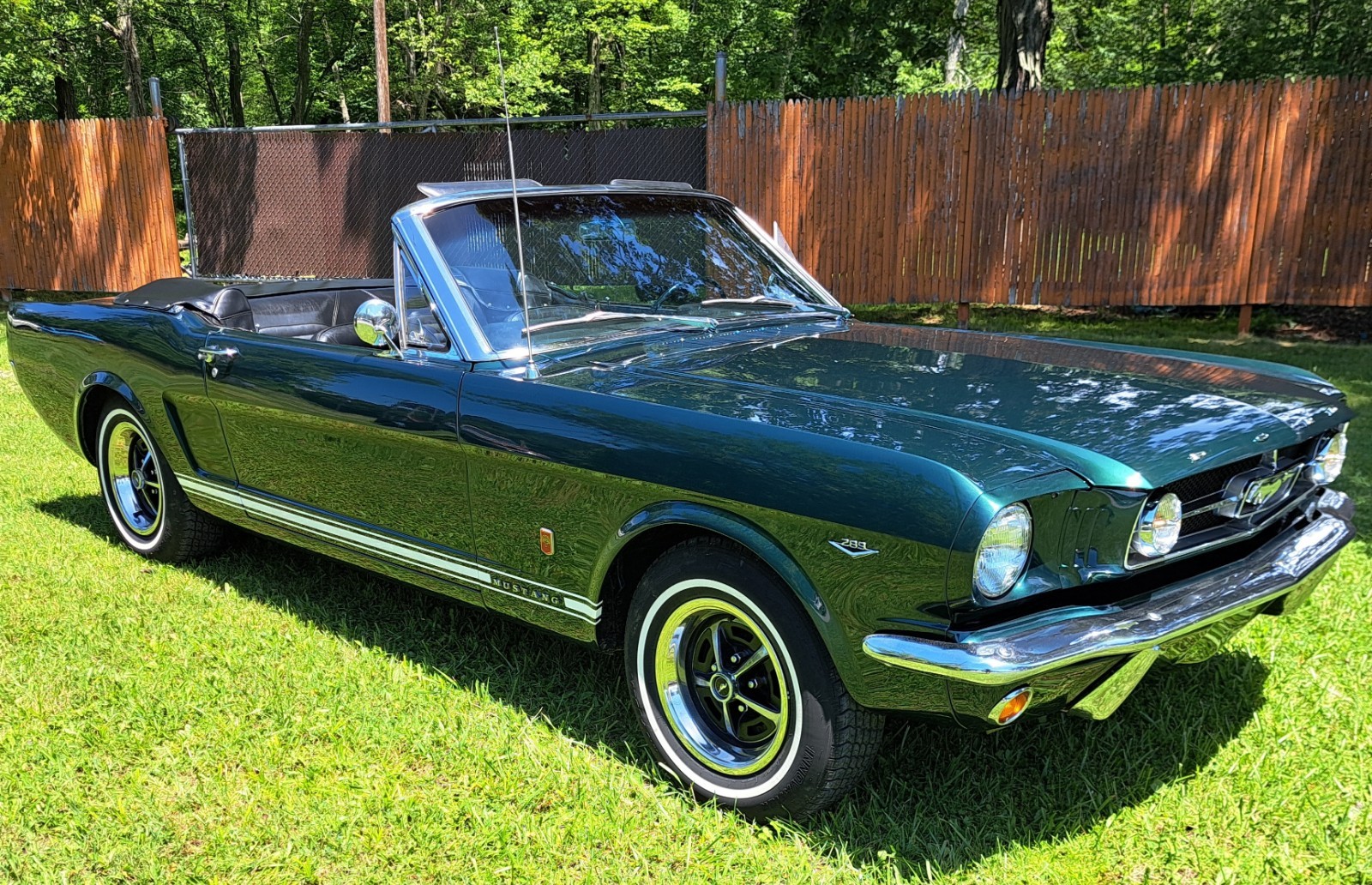 Ford Mustang 1965 Convertible