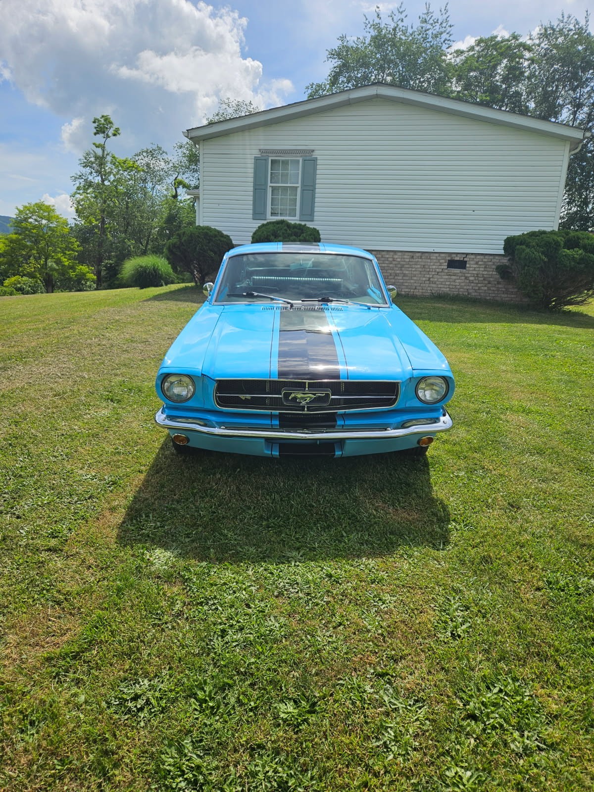 Ford-Mustang-1965-Fastback-2