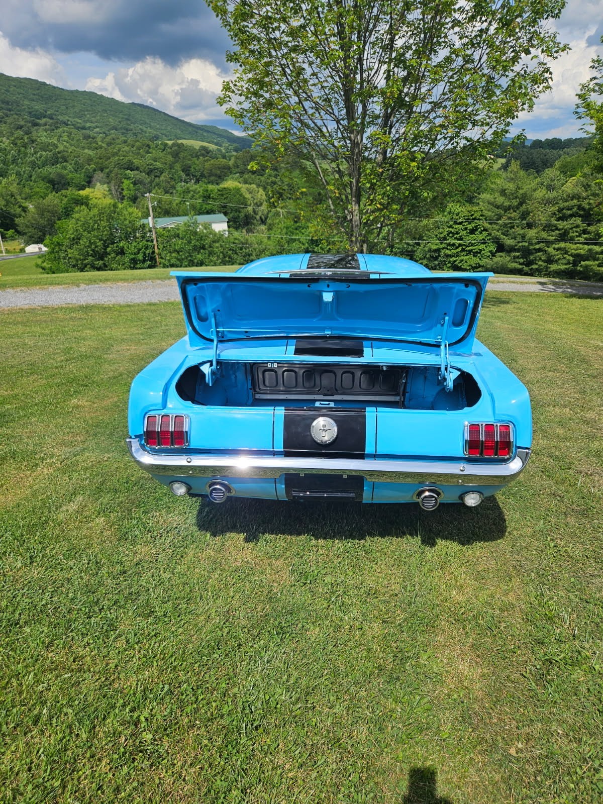 Ford-Mustang-1965-Fastback-3